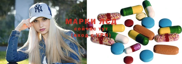 амф Новозыбков