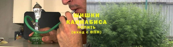 амф Новозыбков