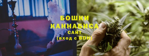 стафф Новодвинск