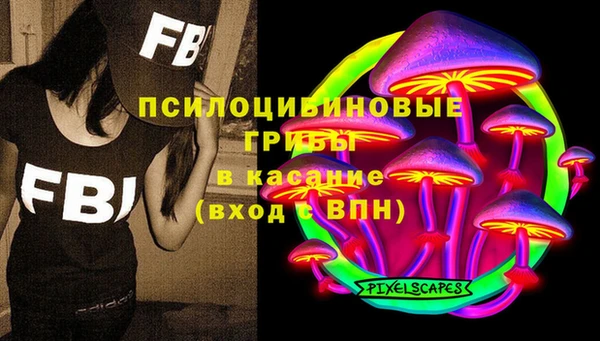 амф Новозыбков