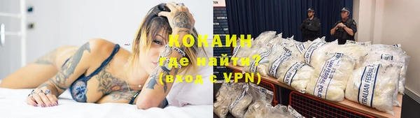 стафф Новодвинск