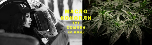 амф Новозыбков