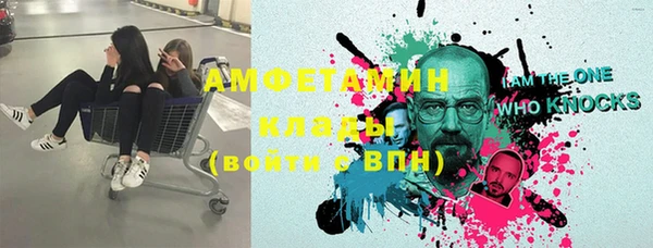 стафф Новодвинск