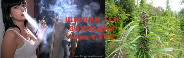 стафф Новодвинск