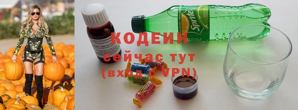 амф Новозыбков