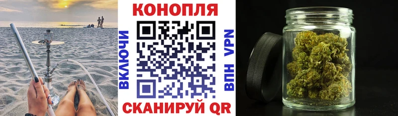 Канабис планчик omg зеркало Новоузенск купить наркотики сайты